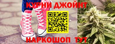 гашик Кинель