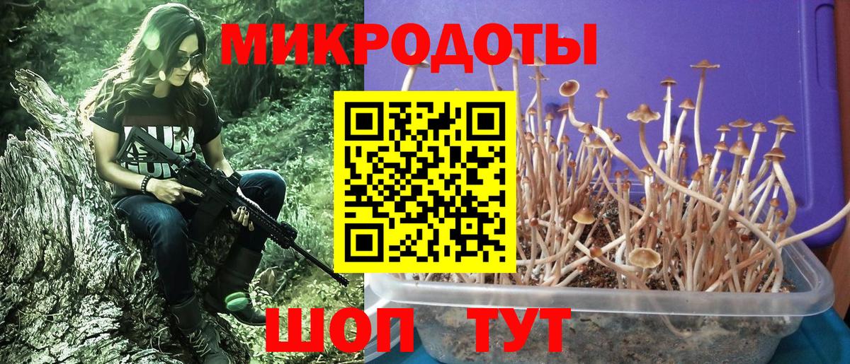 Галлюциногенные грибы ЛСД Коркино